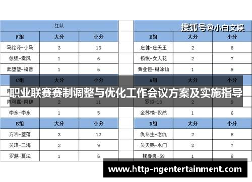 职业联赛赛制调整与优化工作会议方案及实施指导 职业联赛赛制调整与优化工作会议方案及实施指导