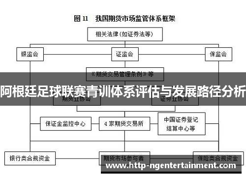 阿根廷足球联赛青训体系评估与发展路径分析 阿根廷足球联赛青训体系评估与发展路径分析